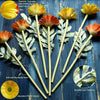Translation missing: nl.sections.featured_product.gallery_thumbnail_alt
