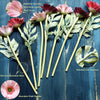 Translation missing: nl.sections.featured_product.gallery_thumbnail_alt
