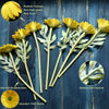 Translation missing: nl.sections.featured_product.gallery_thumbnail_alt

