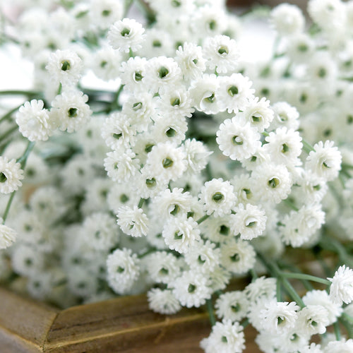 6 Stems 69cm Floral White Baby’s Breath Artificial Flowers Baby’s Breath Gypsophila Tall Long Stems