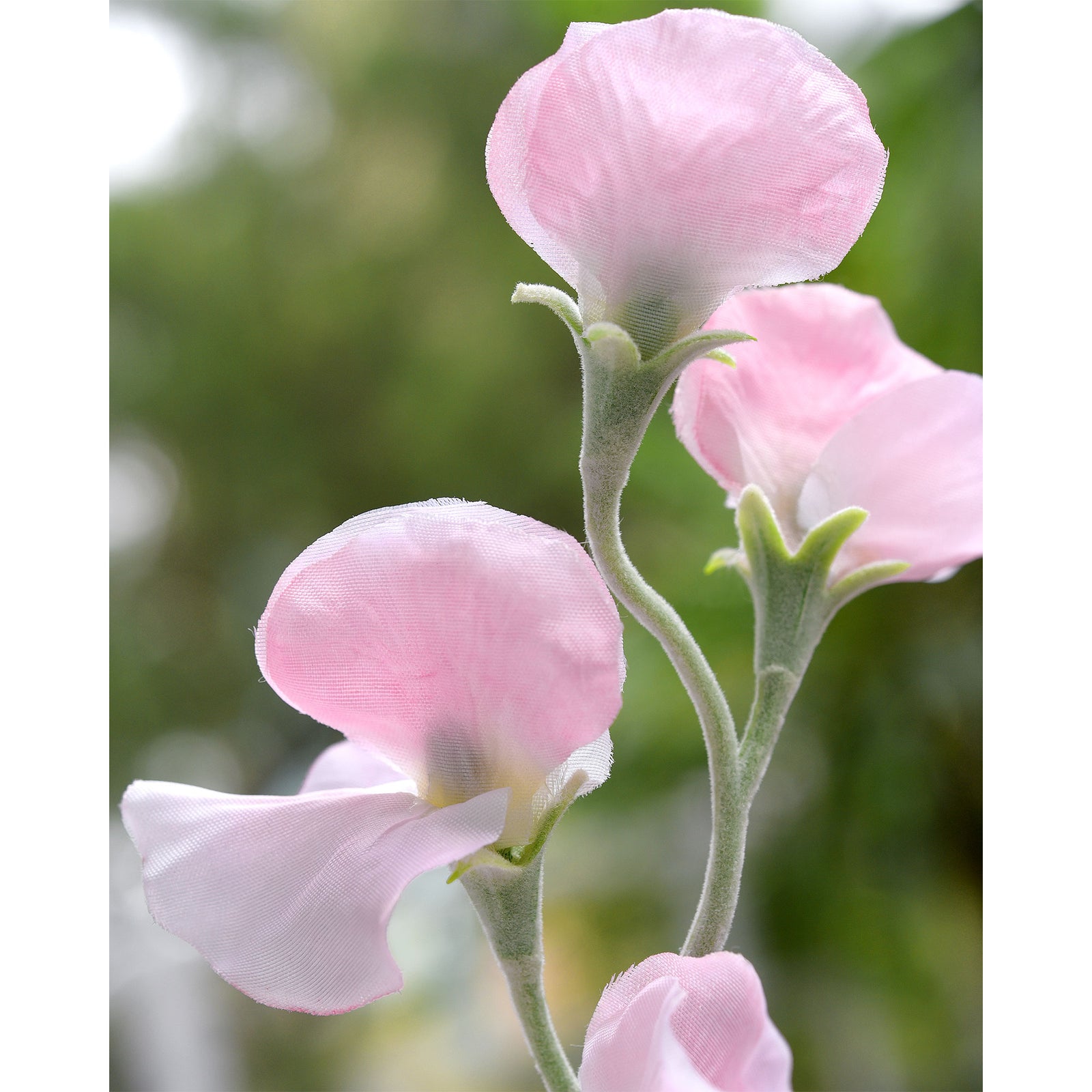 Misty Light Pink Sweet Pea Flowers Real Looking Artificial flowers Home Décor 24.8'' (6 Stems) FiveSeasonStuff