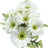 Spring White (Real Touch)