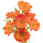 Zesty Orange (Real Touch)