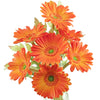 Zesty Orange (Real Touch)