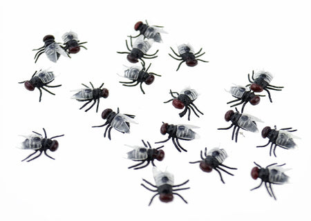 FiveSeasonStuff 20 Pcs x Fly Toy / Fake Flies / Party Pranks / Practical Jokes / Halloween Fly / Prank Fly / Realistic Looking Flies / Wings Can Be Detached