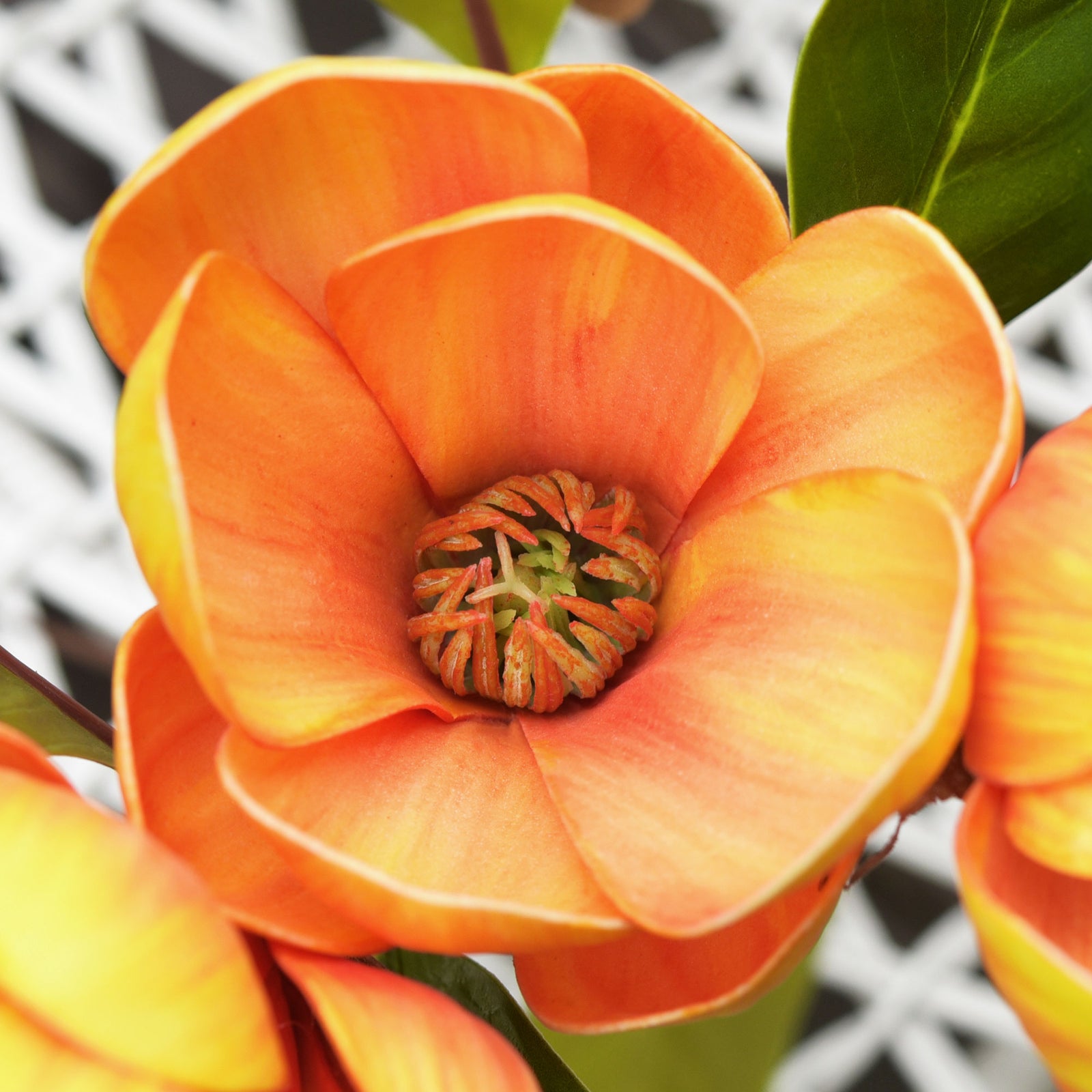 FiveSeasonStuff Friendship Orange Magnolia Artificial Flowers Arrangement with 4 Stems, Wedding Bridesmaids Bouquet Home Decor