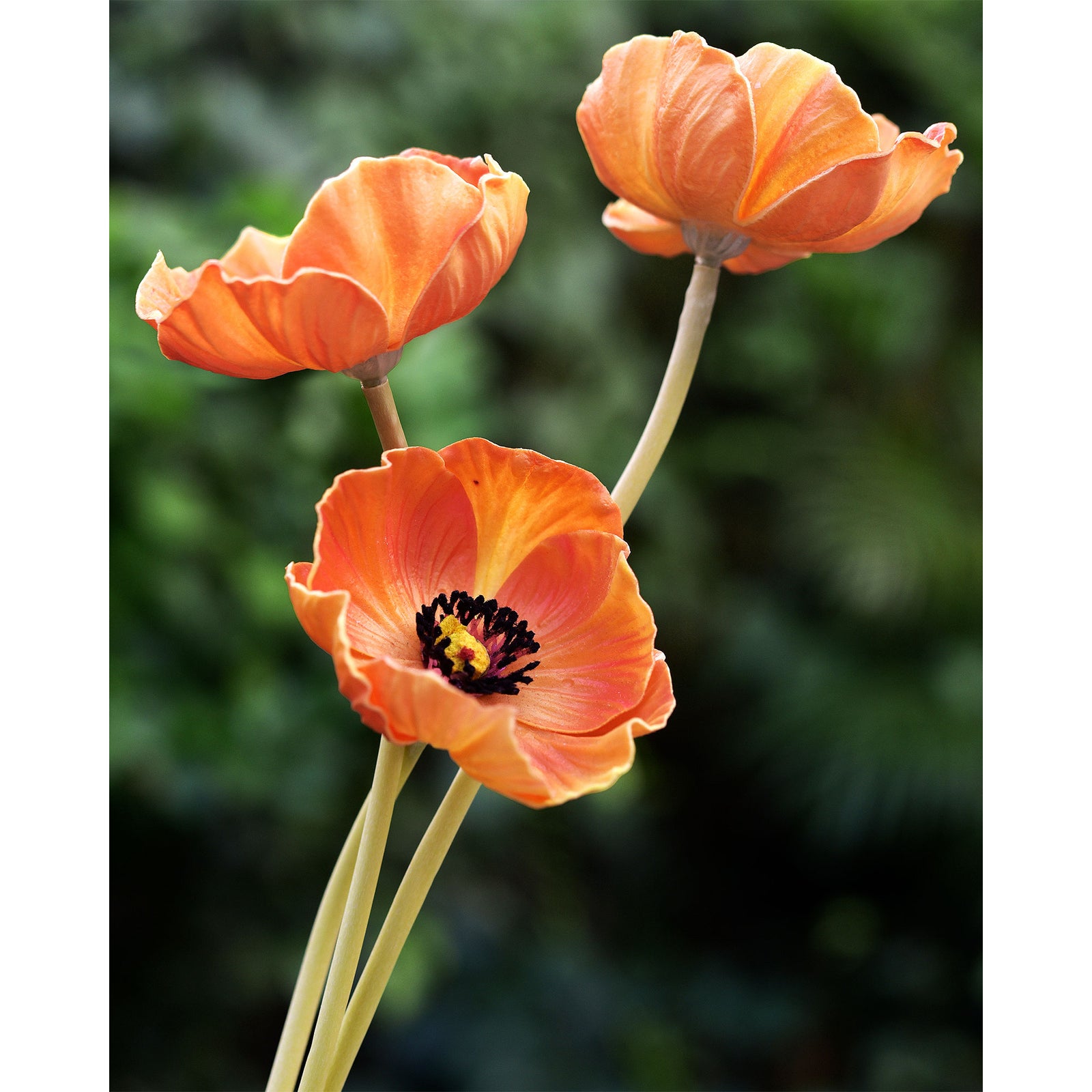 FiveSeasonStuff Orange Real Touch Artificial Poppy Flowers Remembrance Day Decorations 10 Stems 12.6'' (32cm)