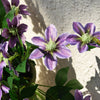Translation missing: fr.sections.featured_product.gallery_thumbnail_alt
