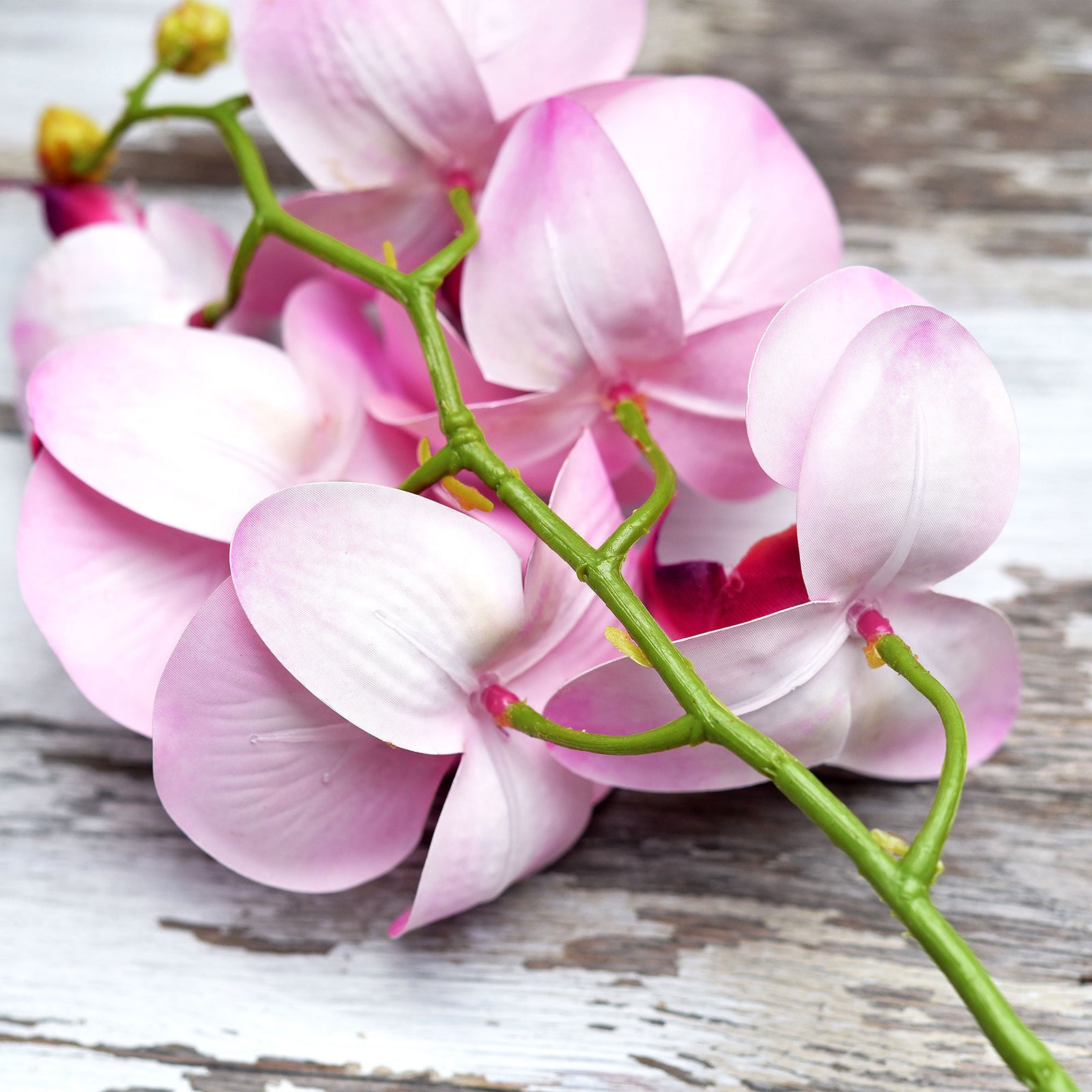 Pastel Violet 2 Stems Real Touch Artificial Butterfly Orchids/Moth Orchid/Phalaenopsis Flowers 27.6" Tall 70cm