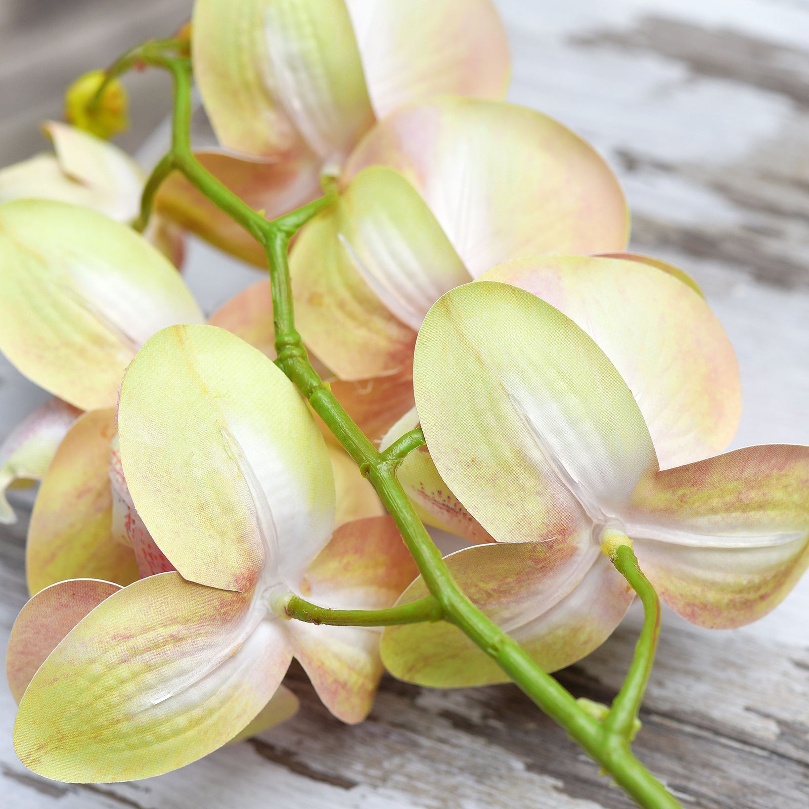 Lemon Pink 2 Stems Real Touch Artificial Butterfly Orchids/Moth Orchid/Phalaenopsis Flowers 27.6" Tall 70cm