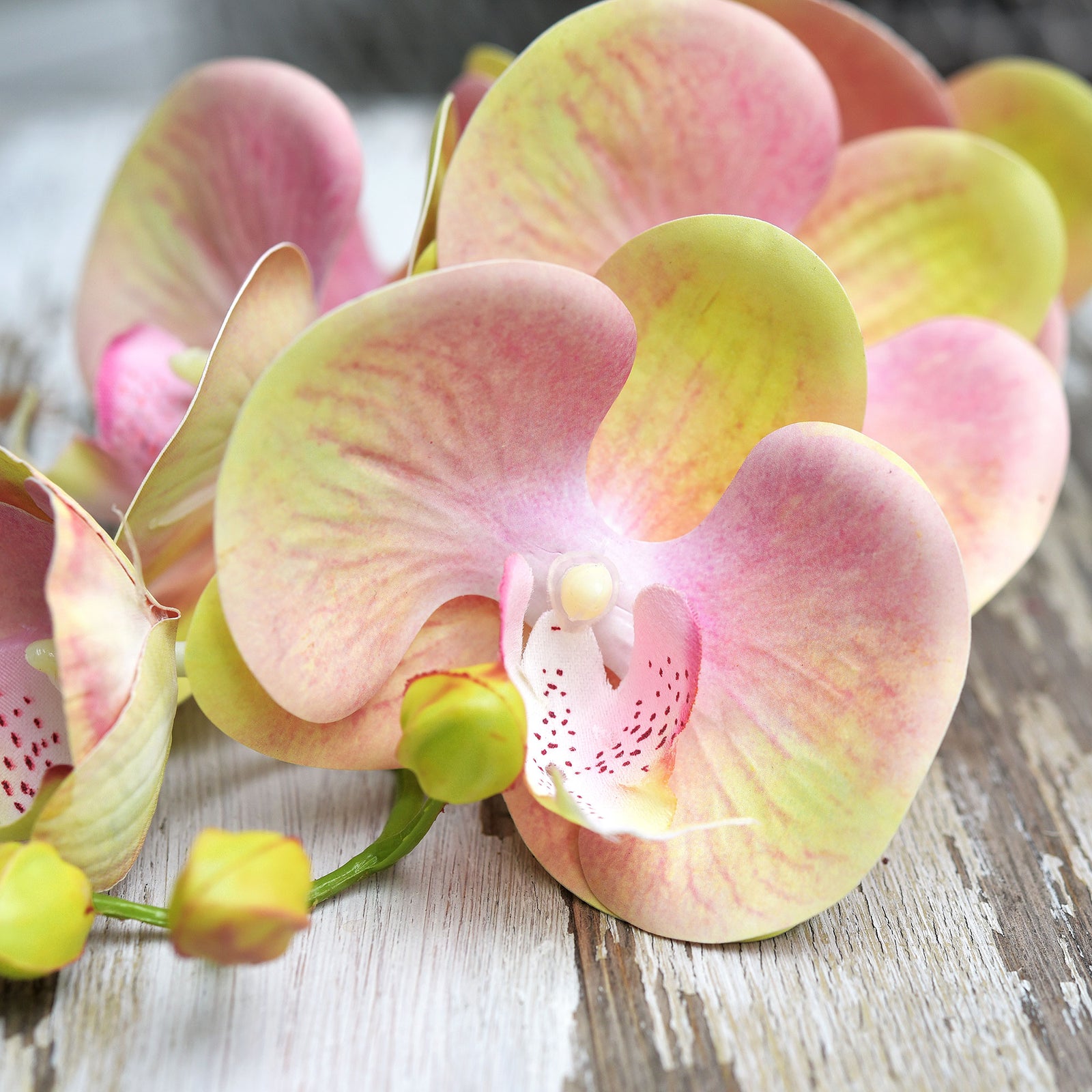 Lemon Pink 2 Stems Real Touch Artificial Butterfly Orchids/Moth Orchid/Phalaenopsis Flowers 27.6" Tall 70cm