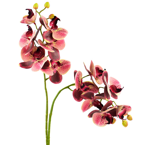 Tropical Berry Pink 2 Stems Real Touch Artificial Butterfly Orchids/Moth Orchid/Phalaenopsis Flowers 27.6" Tal 70cm