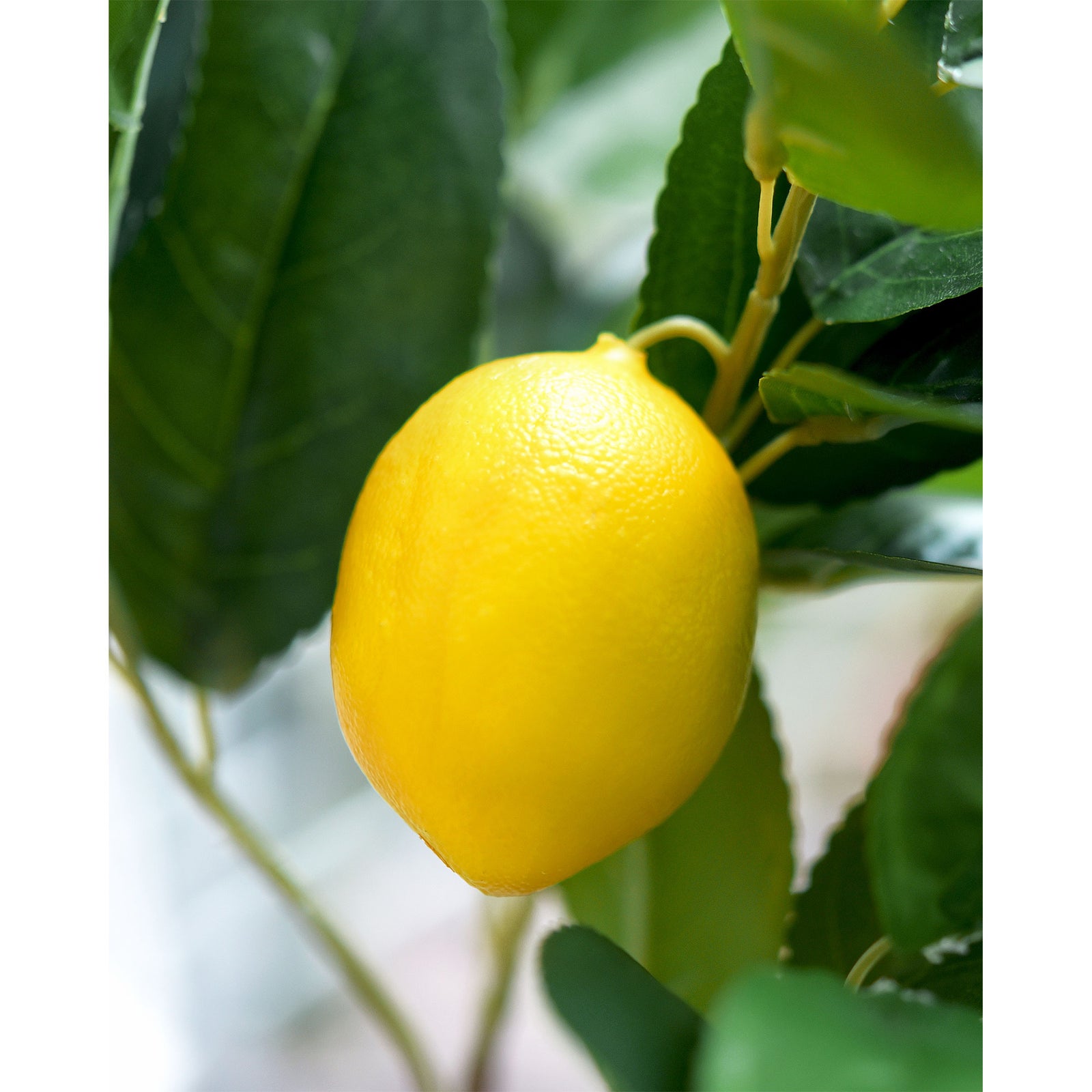 2 Branches of Artificial Lemons with Leaves