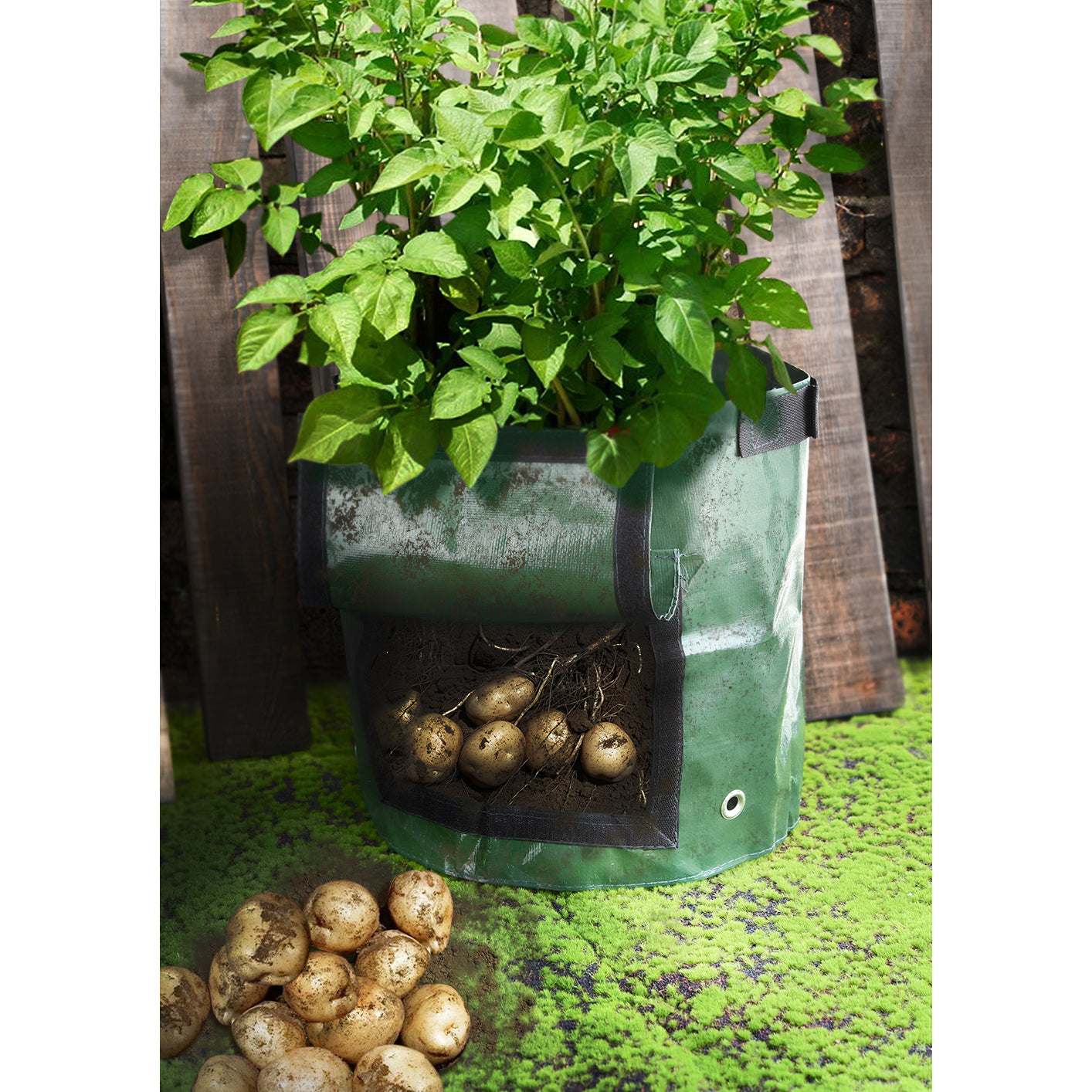 Plant Growing Bags 4 Pieces