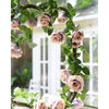Translation missing: fr.sections.featured_product.gallery_thumbnail_alt
