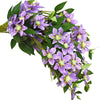 Blue Violet