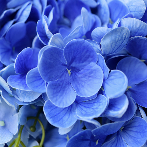 FiveSeasonStuff 2 Stems Real Touch Petals and Leaves Artificial Hydrangea Flowers Long Stem Floral Arrangement | for Wedding Bridal Party Home Décor DIY Floral Decoration (Blue Ocean)