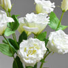 Translation missing: it.sections.featured_product.gallery_thumbnail_alt
