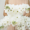 Translation missing: it.sections.featured_product.video_thumbnail_alt
