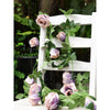 Translation missing: fr.sections.featured_product.gallery_thumbnail_alt
