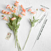 Translation missing: pt-PT.sections.featured_product.gallery_thumbnail_alt
