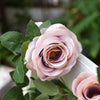 Translation missing: fr.sections.featured_product.gallery_thumbnail_alt
