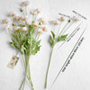 Translation missing: it.sections.featured_product.gallery_thumbnail_alt

