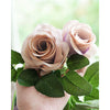 Translation missing: fr.sections.featured_product.gallery_thumbnail_alt
