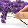 Translation missing: it.sections.featured_product.gallery_thumbnail_alt
