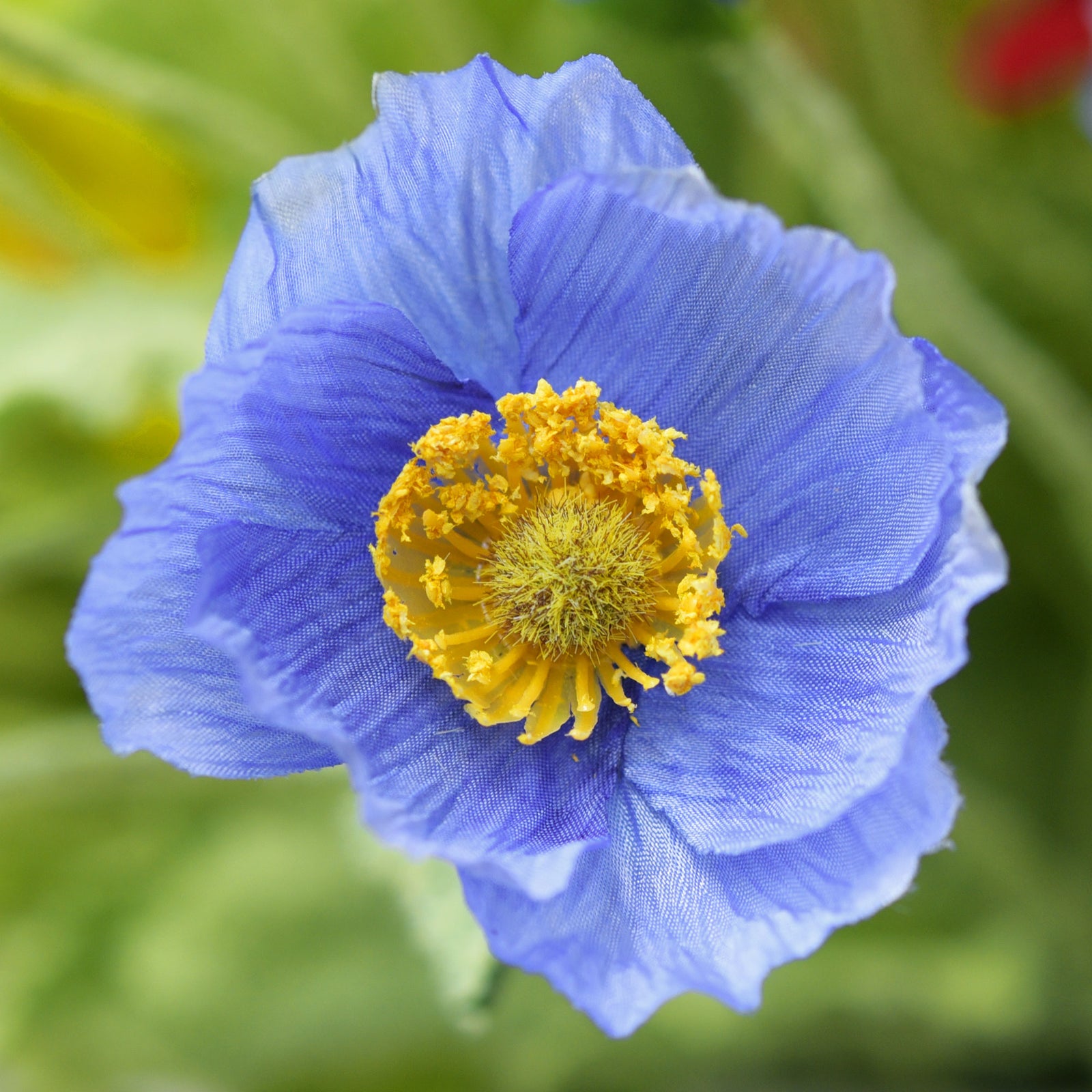 Ocean Blue Silk Poppies Artificial Flower Bouquet for Remembrance Home Wedding 6 Stems 23.6'' (60cm)