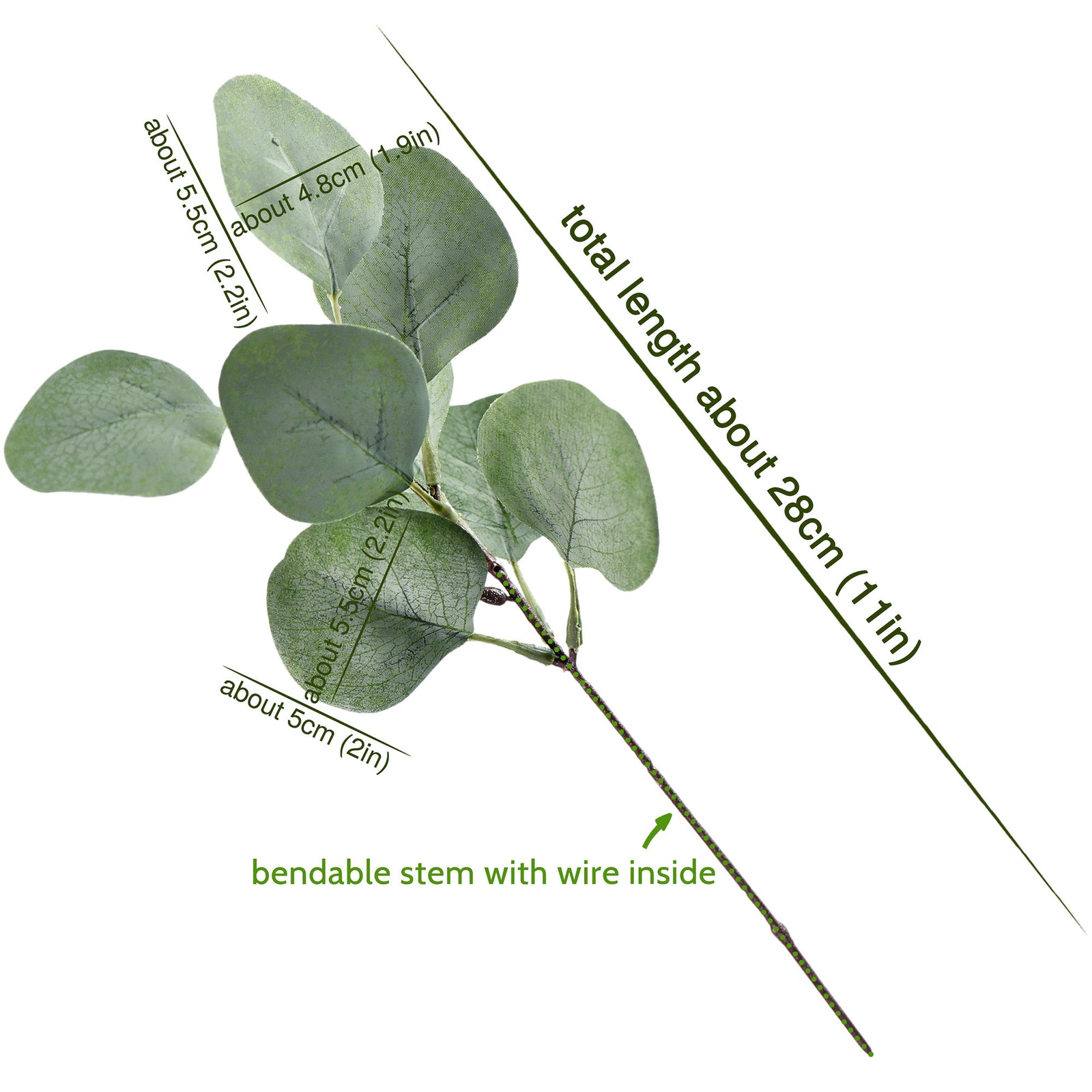 FiveSeasonStuff 10 Stems Realistic Looking Artificial Silver Dollar Eucalyptus Foliage Home Decor