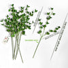 Translation missing: es.sections.featured_product.gallery_thumbnail_alt

