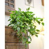 Translation missing: pt-PT.sections.featured_product.gallery_thumbnail_alt
