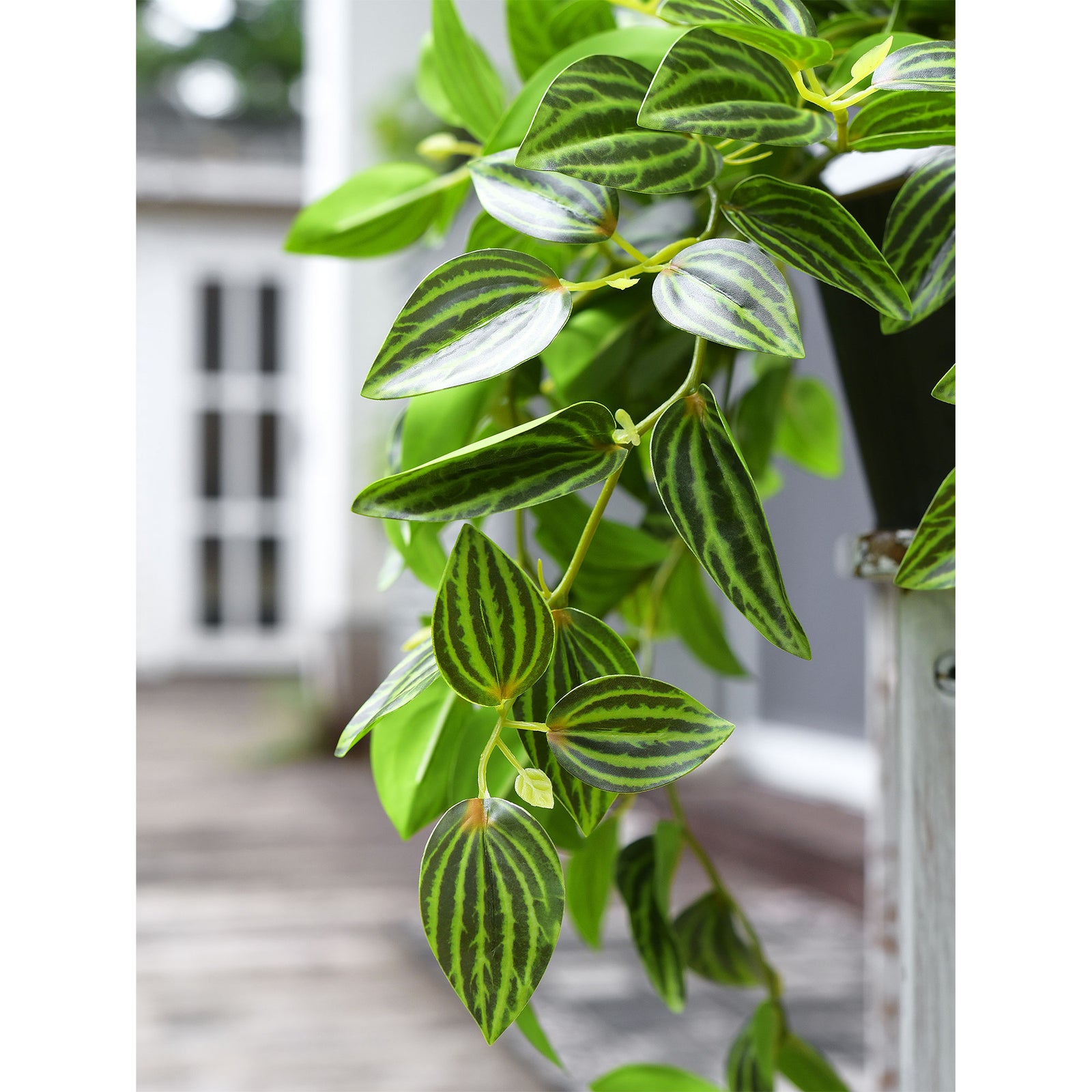 FiveSeasonStuff Real Touch Artificial Hanging Plant Watermelon Peperomia Home Decor 2 Stems