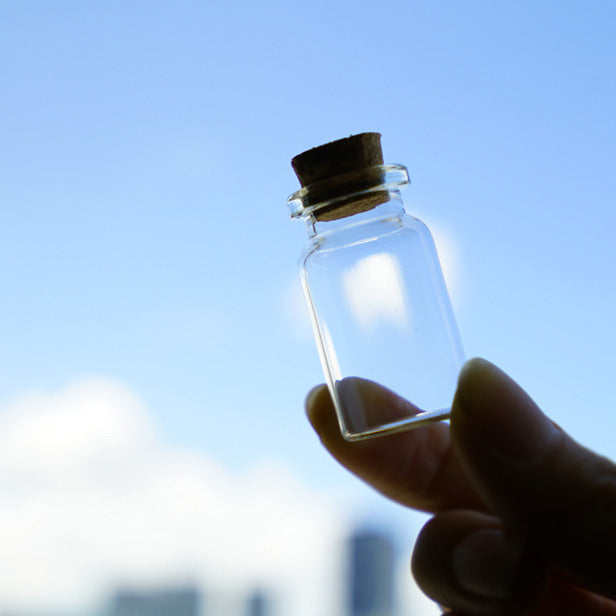 Mini Transparent Glass Bottles,Jars with Cork Stoppers for Scents, Oils, Spices, Collections, Wedding, Jewelry, Message, Party Favors etc