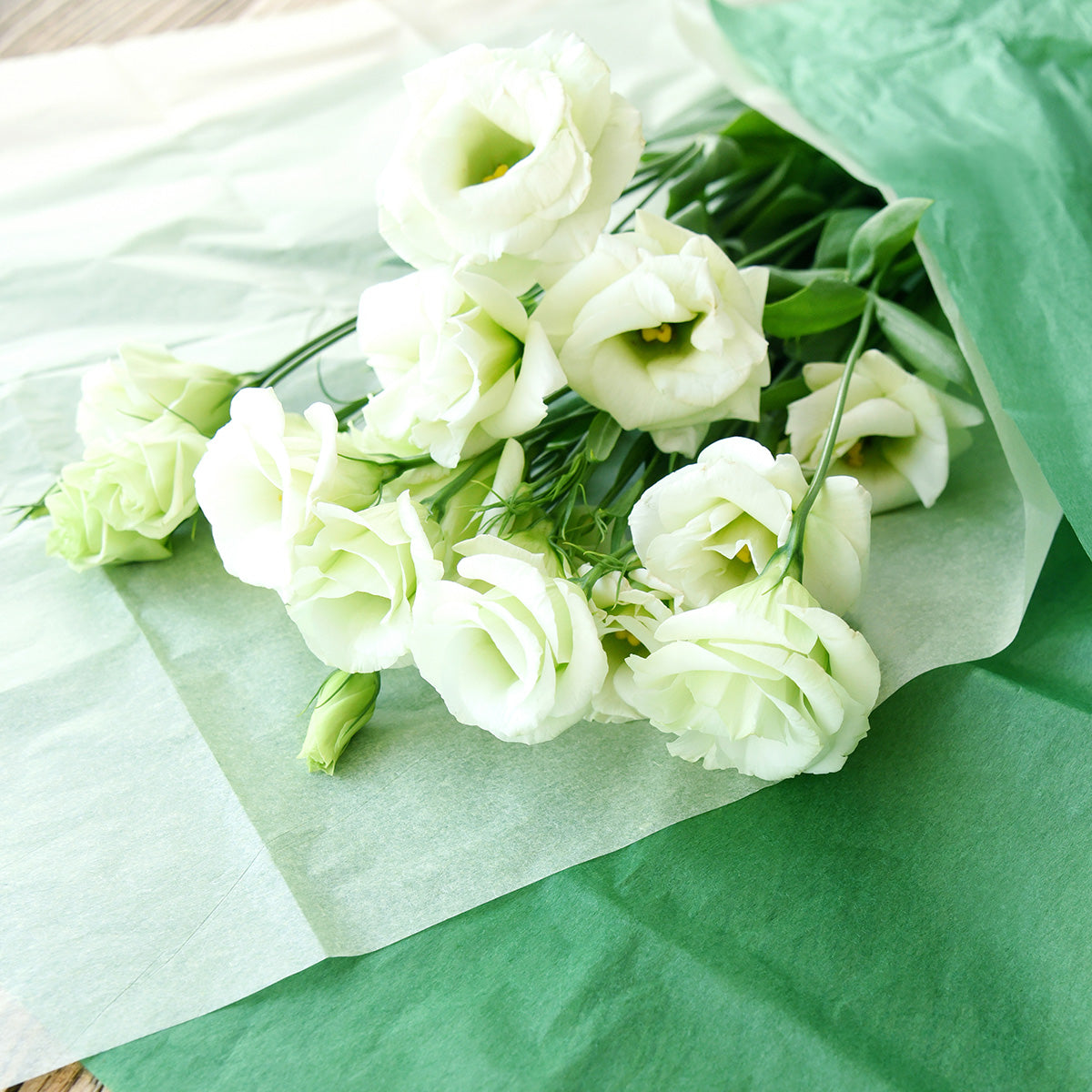 50 Sheets Dark Green Wrapping Tissue Paper