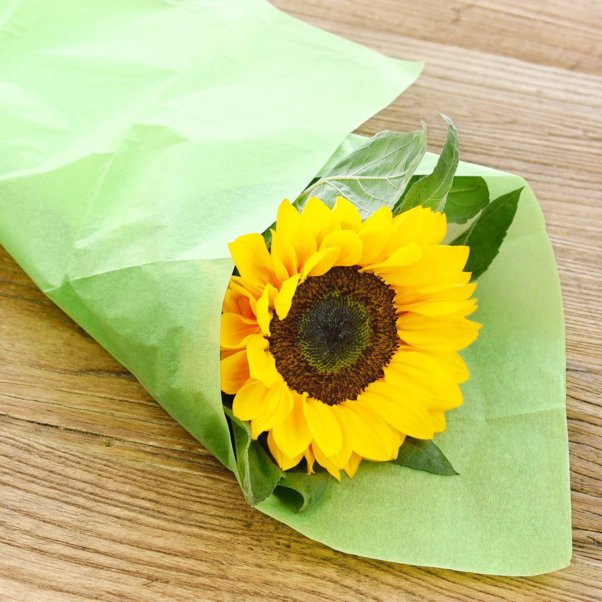50 Sheets Green Yellow Wrapping Tissue Paper