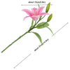Translation missing: pt-PT.sections.featured_product.gallery_thumbnail_alt
