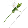 Translation missing: fr.sections.featured_product.gallery_thumbnail_alt
