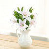 Translation missing: fr.sections.featured_product.gallery_thumbnail_alt
