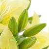 Translation missing: pt-PT.sections.featured_product.gallery_thumbnail_alt
