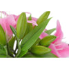 Translation missing: pt-PT.sections.featured_product.gallery_thumbnail_alt
