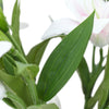 Translation missing: fr.sections.featured_product.gallery_thumbnail_alt
