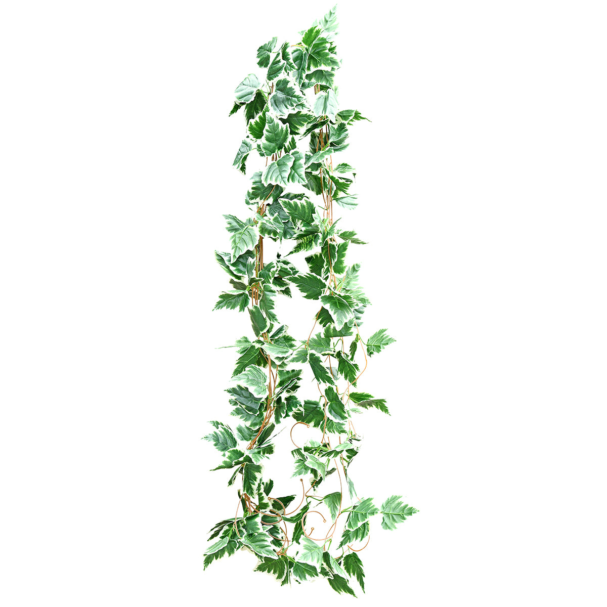 Artificial Hanging Plant White Edge Ivy Leaves Vine Silk Greenery Leaves (12.5m / 41 feet)