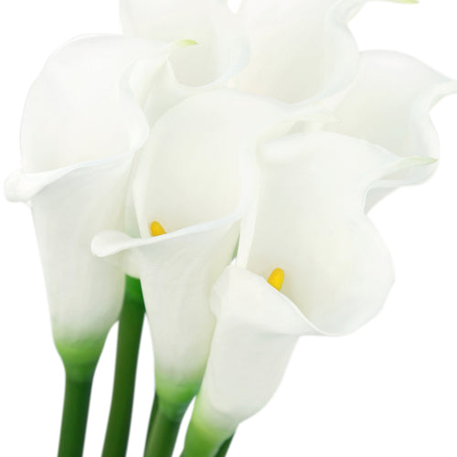 White Real Touch Large Size Calla Lilies Artificial Flower Bouquet 6 Stems