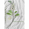 Translation missing: pt-PT.sections.featured_product.gallery_thumbnail_alt
