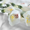 Translation missing: pt-PT.sections.featured_product.gallery_thumbnail_alt
