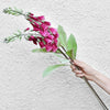 Translation missing: es.sections.featured_product.gallery_thumbnail_alt
