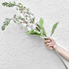 Translation missing: pt-PT.sections.featured_product.gallery_thumbnail_alt
