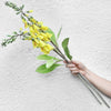 Translation missing: es.sections.featured_product.gallery_thumbnail_alt
